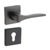 Certus on Rose Luxury Interior Door Handle Set