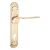 Petra Luxury Interior Door Handle Set